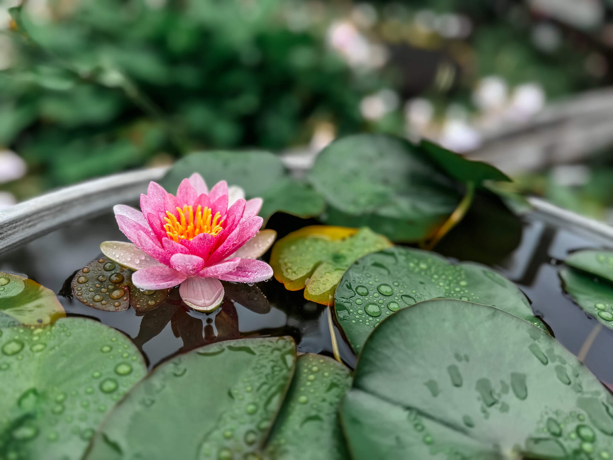 Zurück zu dir - Coaching & Reiki für Frauen in Ludwigsburg & online