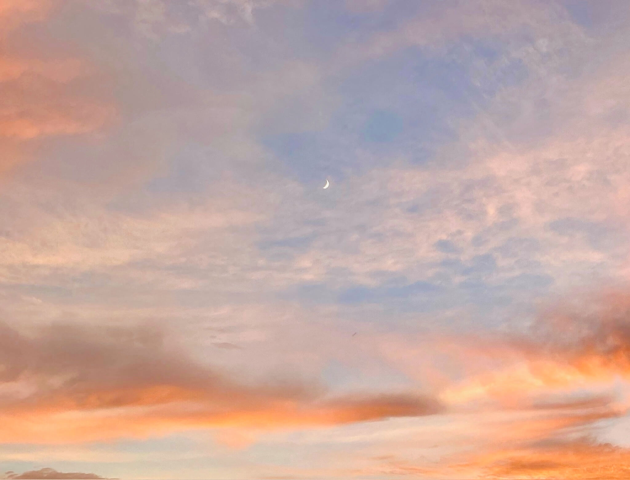 Komme in Kontakt - Coaching und Reiki in Ludwigsburg und online