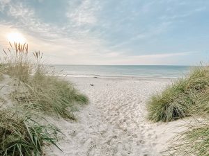 Coaching & Reiki in Ludwigsburg für Frauen